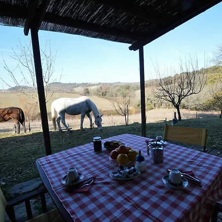 Azienda Agricola Podere Tremulini * Casole d'Elsa